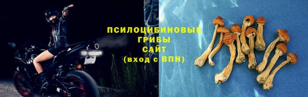 2c-b Балабаново