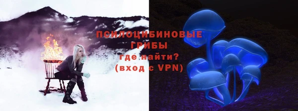 сатива Баксан