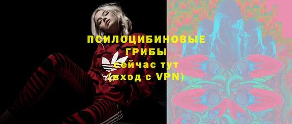 сатива Баксан
