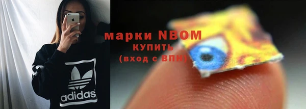сатива Баксан