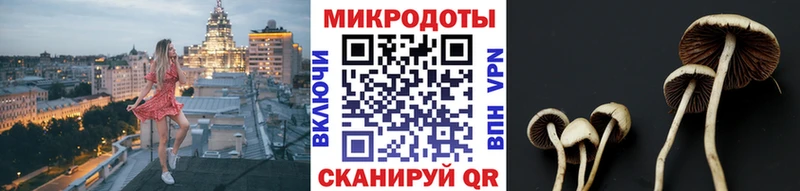 Псилоцибиновые грибы GOLDEN TEACHER  Семилуки 